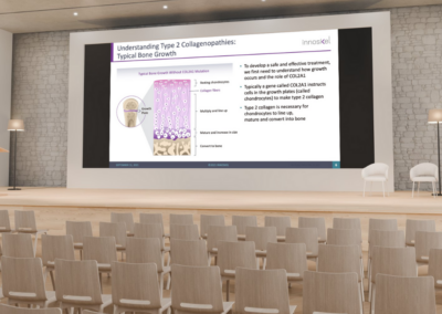 Innoskel Slide On-Site Presentation